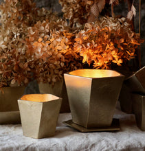 Cast bronze vessel pair, bright bronze.