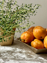 Nesting bowls, three sizes.