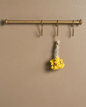 SPUL series, 20.5" appliance pull/handle and hanging rack.